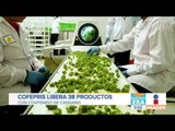 ¡Se avanza de manera histórica en la regulación de la marihuana! | Noticias con Francisco Zea