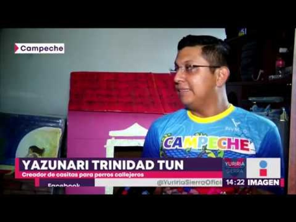 Iniciativa para construir de casitas para perros callejeros | Noticias con Yuriria Sierra