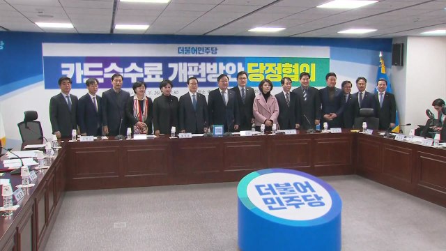 당정, 카드 수수료 개편안 발표...우대 수수료율 적용 확대 / YTN