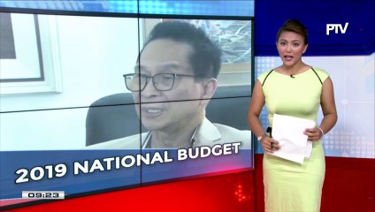 Panelo: Walang pork barrel sa 2019 national budget