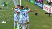 Vasco x Palmeiras (Campeonato Brasileiro 2018 37ª rodada) 2° tempo