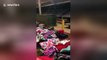Clothes, essentials donated to Camp Fire victims in the wake of tragedy