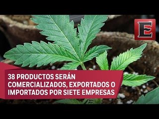 Cofepris libera primer paquete de productos con cannabis