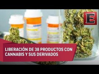 México debería de contar con una industria nacional de cannabis: Hernández Tinajero