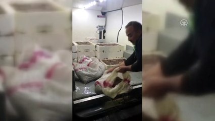 Kaçak avcılıkla mücadele - ÇANAKKALE