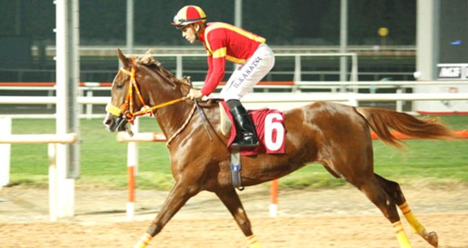 Korkutan Kaza! Ünlü Jokey Halis Karataş Attan Düştü!