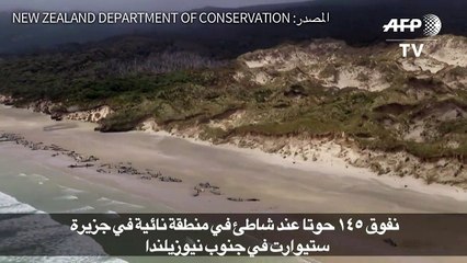 نفوق 145 حوتا عند شاطئ في منطقة نيوزيلندية نائية