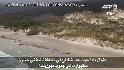 نفوق 145 حوتا عند شاطئ في منطقة نيوزيلندية نائية