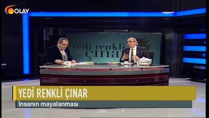 Yedi Renkli Çınar - 23-11-2018