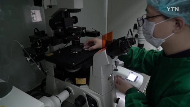 中 과학자 세계 최초 '유전자 편집' 아기 출산 성공 주장 / YTN