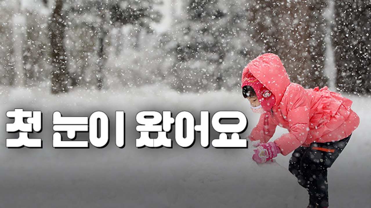 [뉴스토리] "첫눈이다" 눈사람 만드는 아이들…데굴데굴 아기 판다