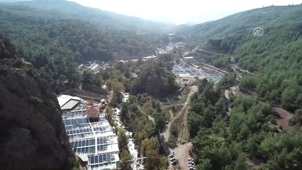 Muğla'da Yetiştirilen Alabalığa Yabancı İlgisi