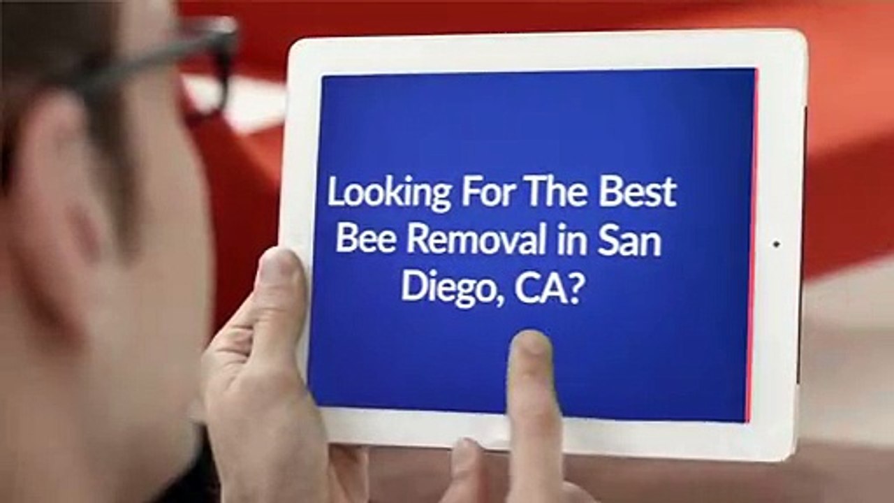 OCP Bee Removal Service in San Diego, CA