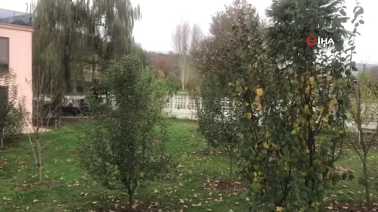Yalova'da Kaşıkçı Hareketliliği...villanın Kuyusunda Arama Yapılıyor