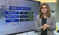 Indeks Dollar Melemah Terhadap Negara Berkembang, Indonesia Salah Satunya