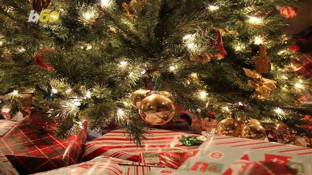 Keep Your Tree Looking Fresh Through Christmas With These Tips