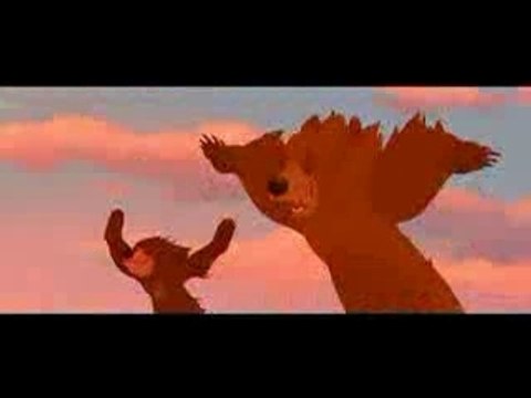 Frere des ours - je m'en vais