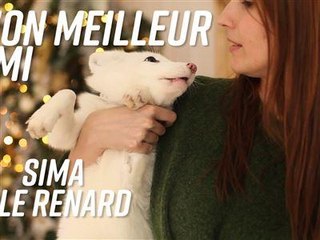 Vivre avec un renard, c'est possible !