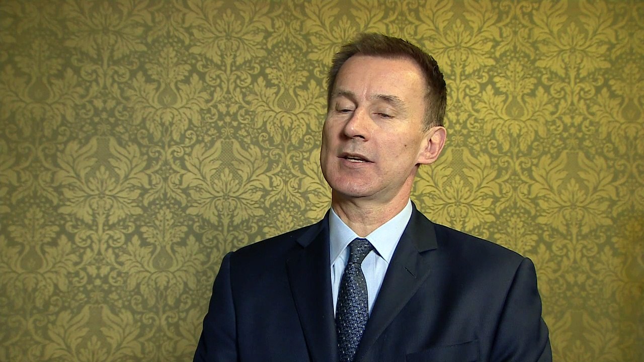 Hunt "perplexed" by Matthew Hedges' conviction