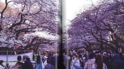 [Nyûsu Show] Téléportation Japon