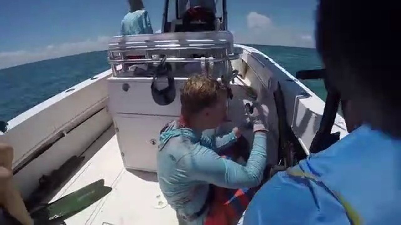 Un requin vient mordre la tête d'un plongeur