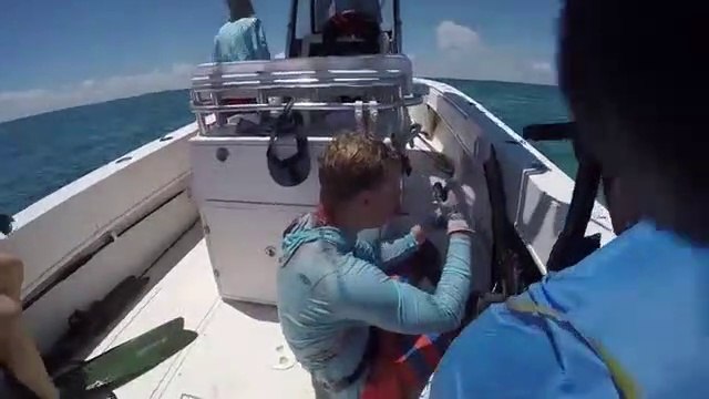 Un requin vient mordre la tête d'un plongeur