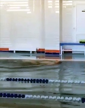 Красиво ушел