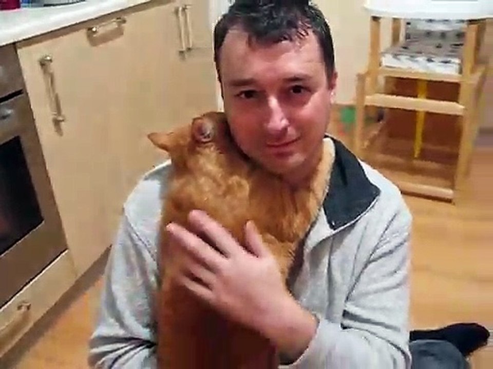 Voici le chat le plus heureux au monde.