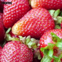 Une aiguille découverte dans une fraise en Nouvelle-Zélande