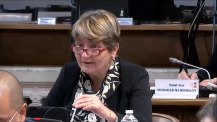 Christine RENAUDIN-JACQUES. Discussion générale. Session du 26 novembre 2018
