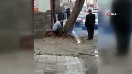 İş yeri önündeki çınar ağacını kesen esnafa bin lira ceza