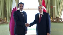 Cumhurbaşkanı Recep Tayyip Erdoğan, Katar Emiri  Şeyh Temim bin Hamed Al Sani ile görüşüyor