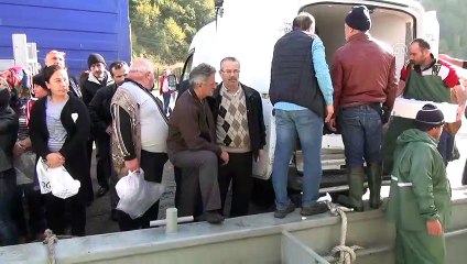 Hamsi bereketi - ZONGULDAK