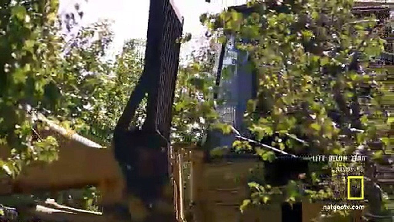 Breakthrough (6/6) Water Apocalypse