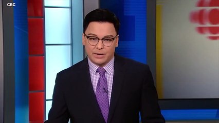 4-Year-Old Girl Dies At Novia Scotia Christmas Parade