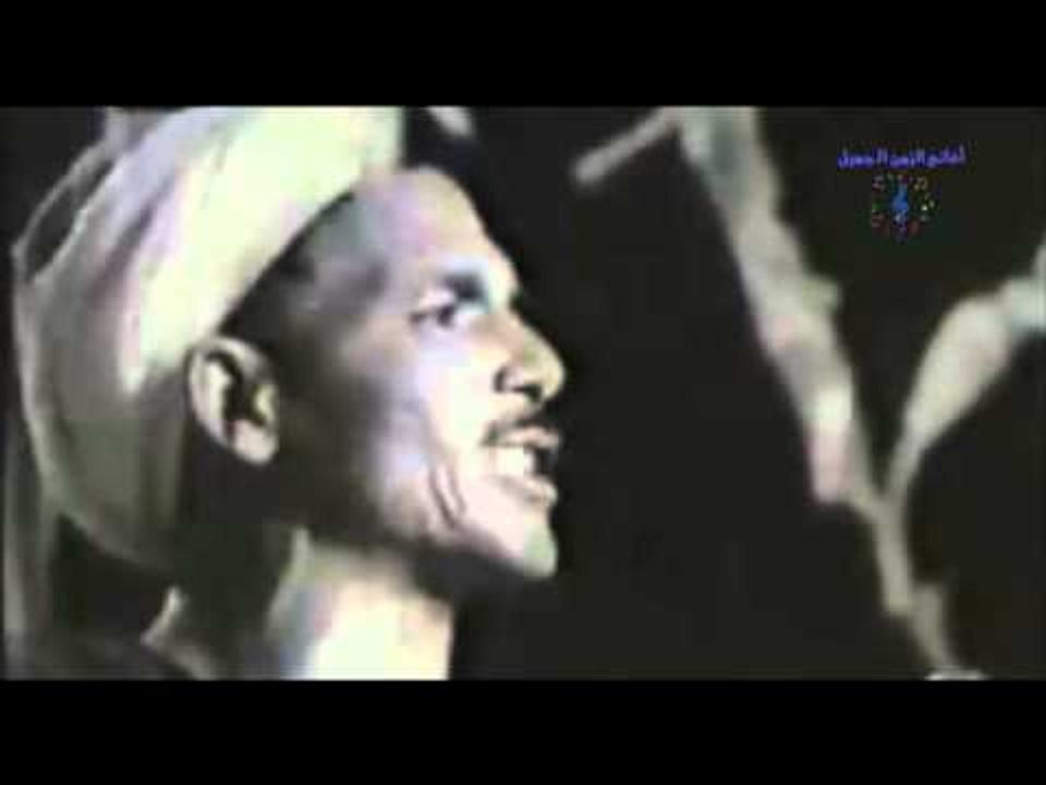 شوقى القناوى  -   ابن حلال