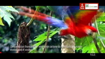 RSE Dakar (Français)