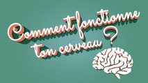 Comment fonctionne ton cerveau ?
