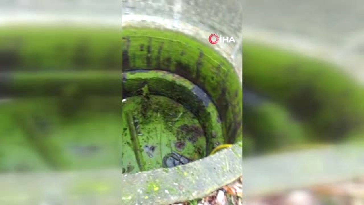 Kaşıkçı'nın İzinin Arandığı Malikhanedeki Kuyuy...