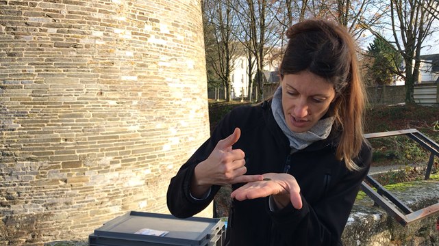 Belles découvertes autour de la 4e tour