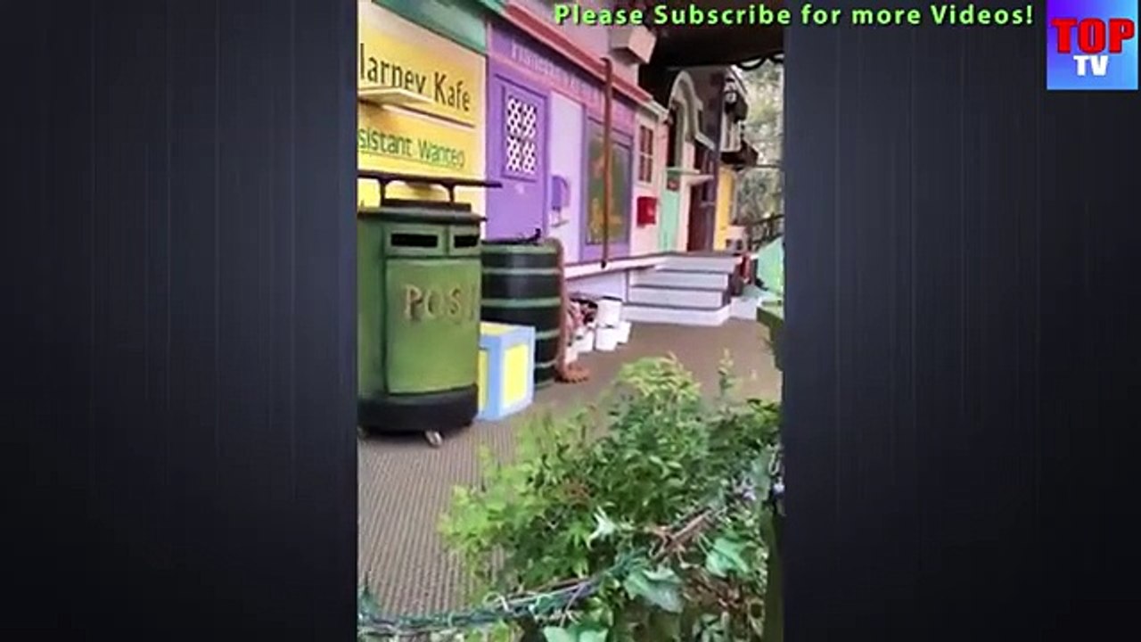 OMG- Super FUNNY PETS - Super FUNNY ANIMAL VIDEOS - Top TV