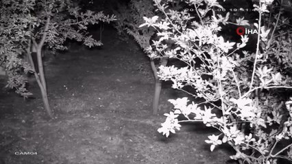 Hırsız kardeşler çetesi çökertildi