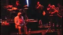 Ferguson - Birdland
