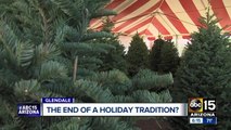 Could online Christmas tree sales impact local companies?