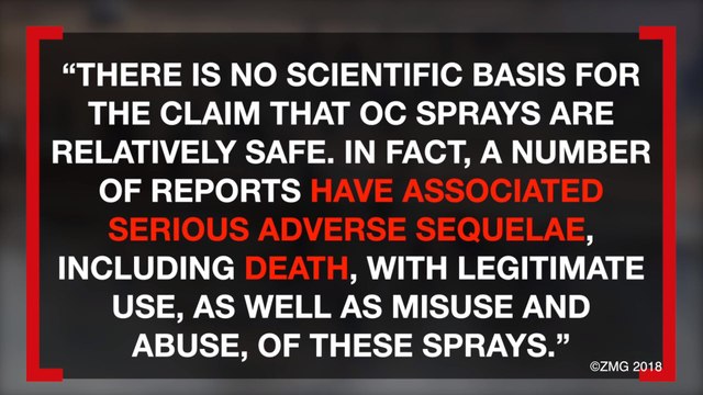 Fox News Guest Says You Can Put Pepper Spray On Nachos When Talking About The Migrant Caravan