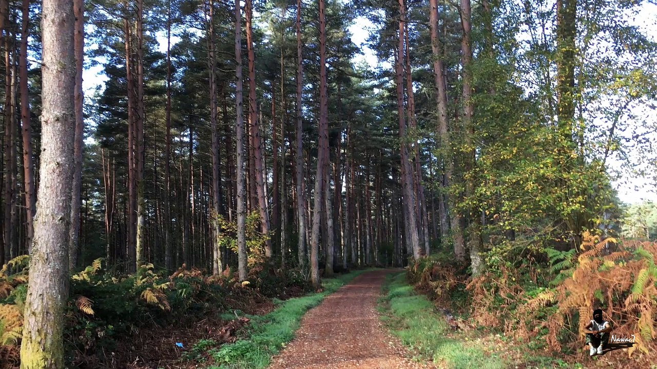Étape 69 : Fonsagrada – O Cádavo / Camino Del Norte – Primitivo – Compostelle – 22 octobre 2017.