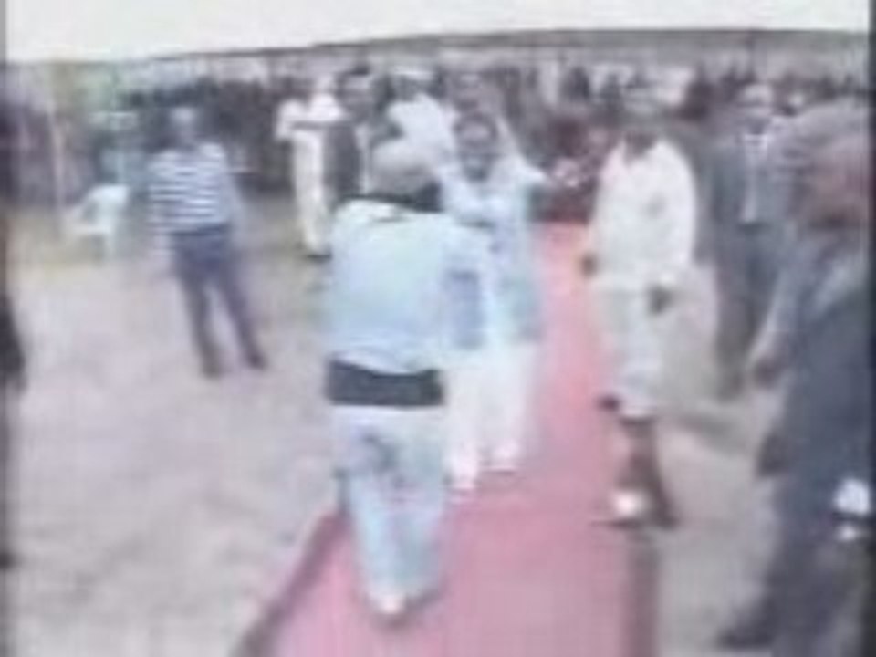 Festarrr chez Alpha Blondy