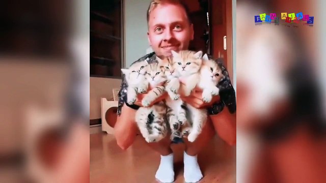 Просто приколы с котанами. Букет из котят.