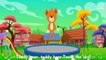 VIDEO 06-PÀGINA 17-REVISTA 01-Teddy Bear Teddy Bear Turn Around Song – Kids Rhymes