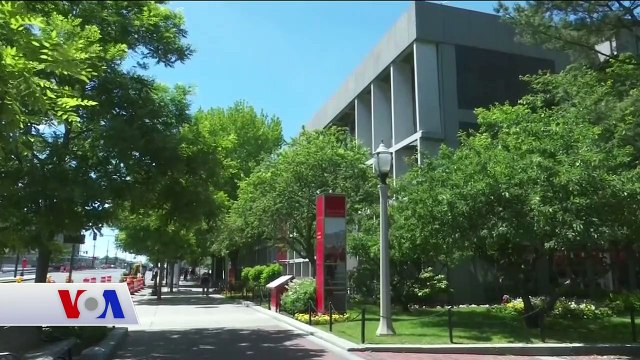 ‘Amerika Elektrikli Arabada Geriye Gidiyor, Türkiye Bu Fırsatı Kullanmalı’